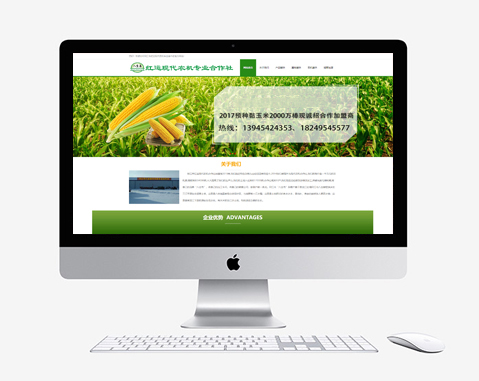 紅運現(xiàn)代農(nóng)機(jī)專業(yè)合作社