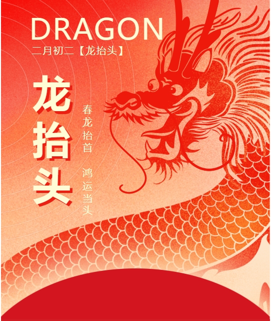 二月二龍?zhí)ь^，春龍振翅鴻運啟 —— 佳木斯網(wǎng)云信息科技有限公司與您共迎新春盛景