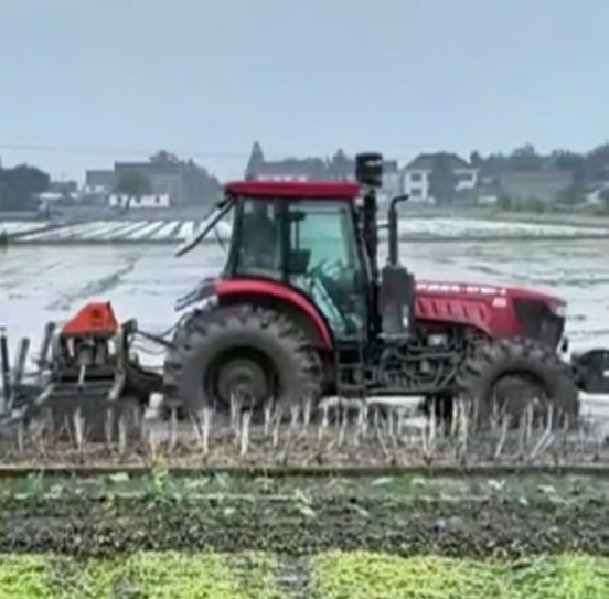 您負責統(tǒng)籌全局，它負責腳踏實地